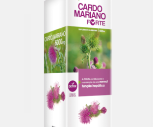 Cardo Mariano Forte xarope – 500ml – Fharmonat